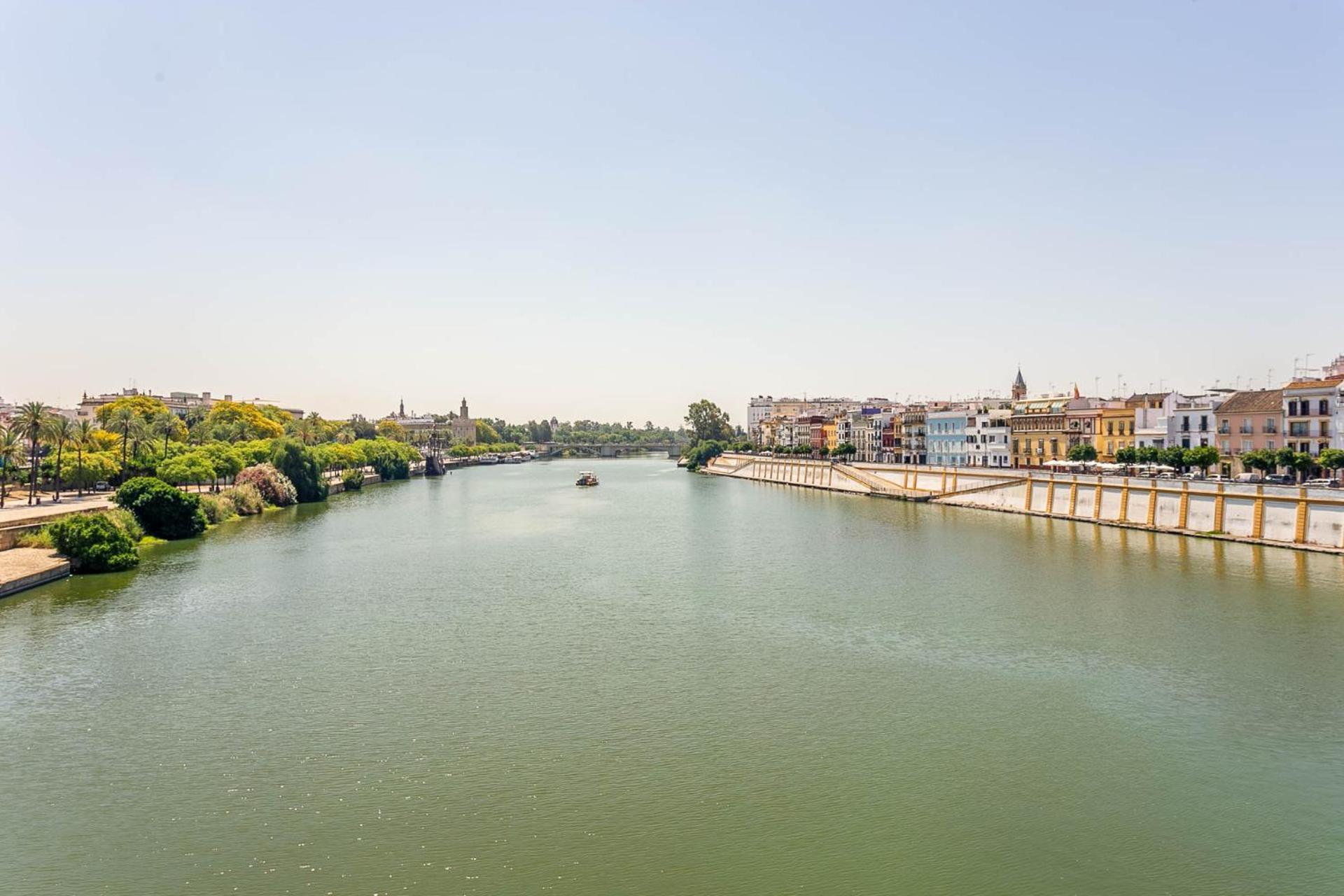 Sunterrace Loft-Triana'S Star, 10' From City Center! Севилья Экстерьер фото